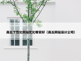 商丘个性化网站优化哪家好（商丘网站设计公司）