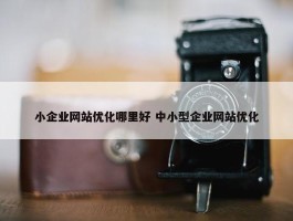 小企业网站优化哪里好 中小型企业网站优化