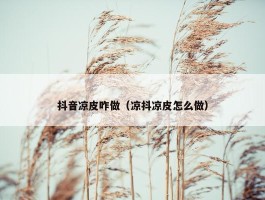 抖音凉皮咋做（凉抖凉皮怎么做）