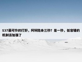 S37最可怜的打野，阿轲隐身三秒？是一秒，低容错的机制该加强了