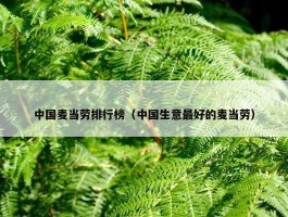 中国麦当劳排行榜（中国生意最好的麦当劳）