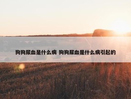 狗狗尿血是什么病 狗狗尿血是什么病引起的