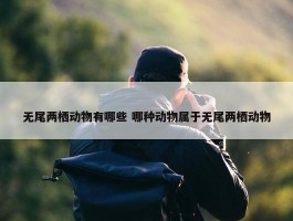 无尾两栖动物有哪些 哪种动物属于无尾两栖动物