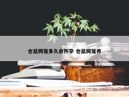 仓鼠同笼多久会怀孕 仓鼠同笼养