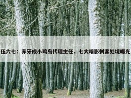 伍六七：赤牙成小鸡岛代理主任，七大暗影刺客处境曝光