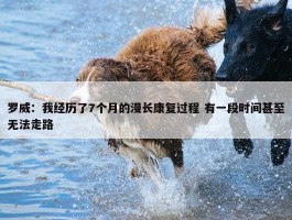 罗威：我经历了7个月的漫长康复过程 有一段时间甚至无法走路