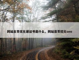 网站主页优化建议书是什么，网站首页优化seo