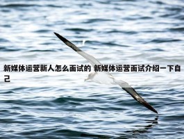 新媒体运营新人怎么面试的 新媒体运营面试介绍一下自己