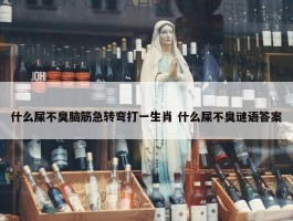 什么屎不臭脑筋急转弯打一生肖 什么屎不臭谜语答案