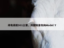 纯电续航901公里，岚图知音攻向Model Y