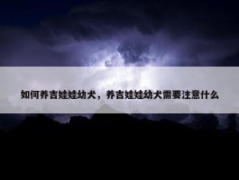 如何养吉娃娃幼犬，养吉娃娃幼犬需要注意什么