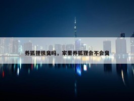 养狐狸很臭吗，家里养狐狸会不会臭