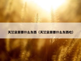 天竺鼠需要什么东西（天竺鼠需要什么东西吃）