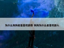 为什么狗狗老是喜欢舔我 狗狗为什么老喜欢舔人