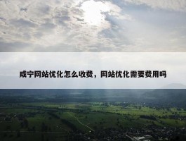 咸宁网站优化怎么收费，网站优化需要费用吗