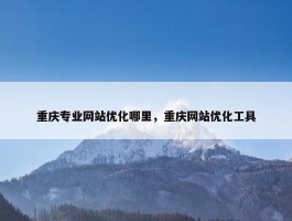 重庆专业网站优化哪里，重庆网站优化工具