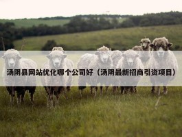 汤阴县网站优化哪个公司好（汤阴最新招商引资项目）