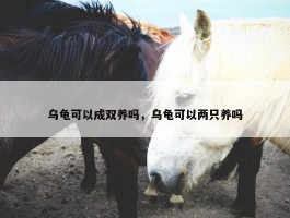 乌龟可以成双养吗，乌龟可以两只养吗