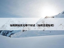 仙桃网站优化哪个好点（仙桃百度贴吧）