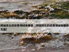 网站优化的应用领域有哪些（网站优化的应用领域有哪些方面）