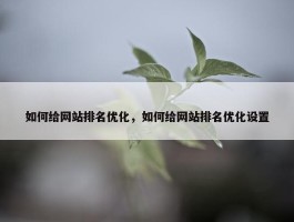 如何给网站排名优化，如何给网站排名优化设置