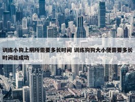 训练小狗上厕所需要多长时间 训练狗狗大小便需要多长时间能成功