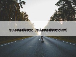 怎么网站引擎优化（怎么网站引擎优化软件）