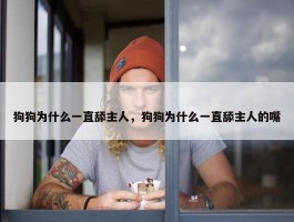 狗狗为什么一直舔主人，狗狗为什么一直舔主人的嘴