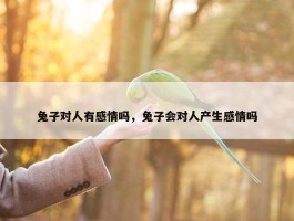 兔子对人有感情吗，兔子会对人产生感情吗