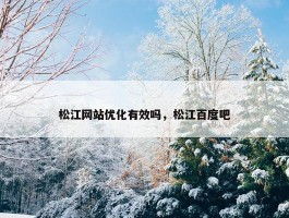 松江网站优化有效吗，松江百度吧