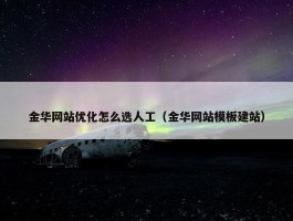 金华网站优化怎么选人工（金华网站模板建站）