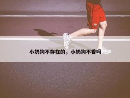 小奶狗不存在的，小奶狗不香吗