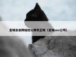 宣城企业网站优化哪家正规（宣城seo公司）