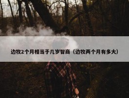 边牧2个月相当于几岁智商（边牧两个月有多大）