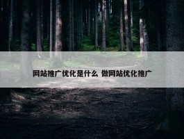 网站推广优化是什么 做网站优化推广