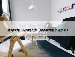 金吉拉为什么养的人少（金吉拉为什么这么贵）