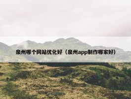 泉州哪个网站优化好（泉州app制作哪家好）