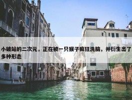 小破站的二次元，正在被一只猴子疯狂洗脑，并衍生出了多种形态