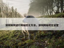 深圳如何进行网站优化方法，深圳网站优化运营