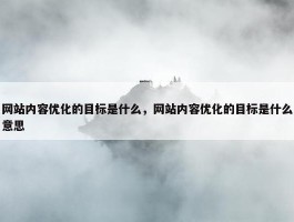 网站内容优化的目标是什么，网站内容优化的目标是什么意思