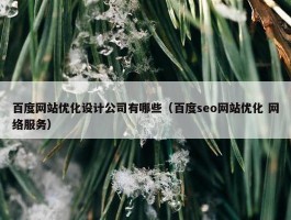 百度网站优化设计公司有哪些（百度seo网站优化 网络服务）