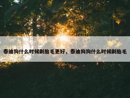 泰迪狗什么时候剃胎毛更好，泰迪狗狗什么时候剃胎毛