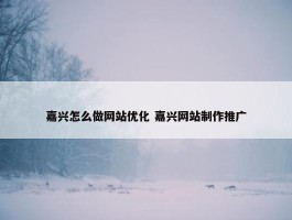 嘉兴怎么做网站优化 嘉兴网站制作推广