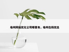 亳州网站优化公司哪里有，亳州在线优选