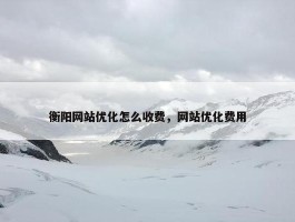 衡阳网站优化怎么收费，网站优化费用