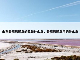 山东香煎凤尾鱼的鱼是什么鱼，香煎凤尾鱼用的什么鱼