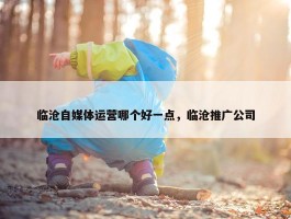 临沧自媒体运营哪个好一点，临沧推广公司