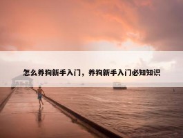 怎么养狗新手入门，养狗新手入门必知知识