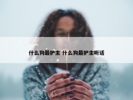 什么狗最护主 什么狗最护主听话