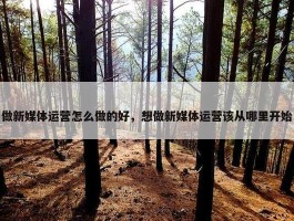 做新媒体运营怎么做的好，想做新媒体运营该从哪里开始